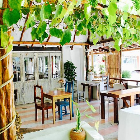 Posada Amor Hotel Boutique Puerto Morelos Exteriér fotografie