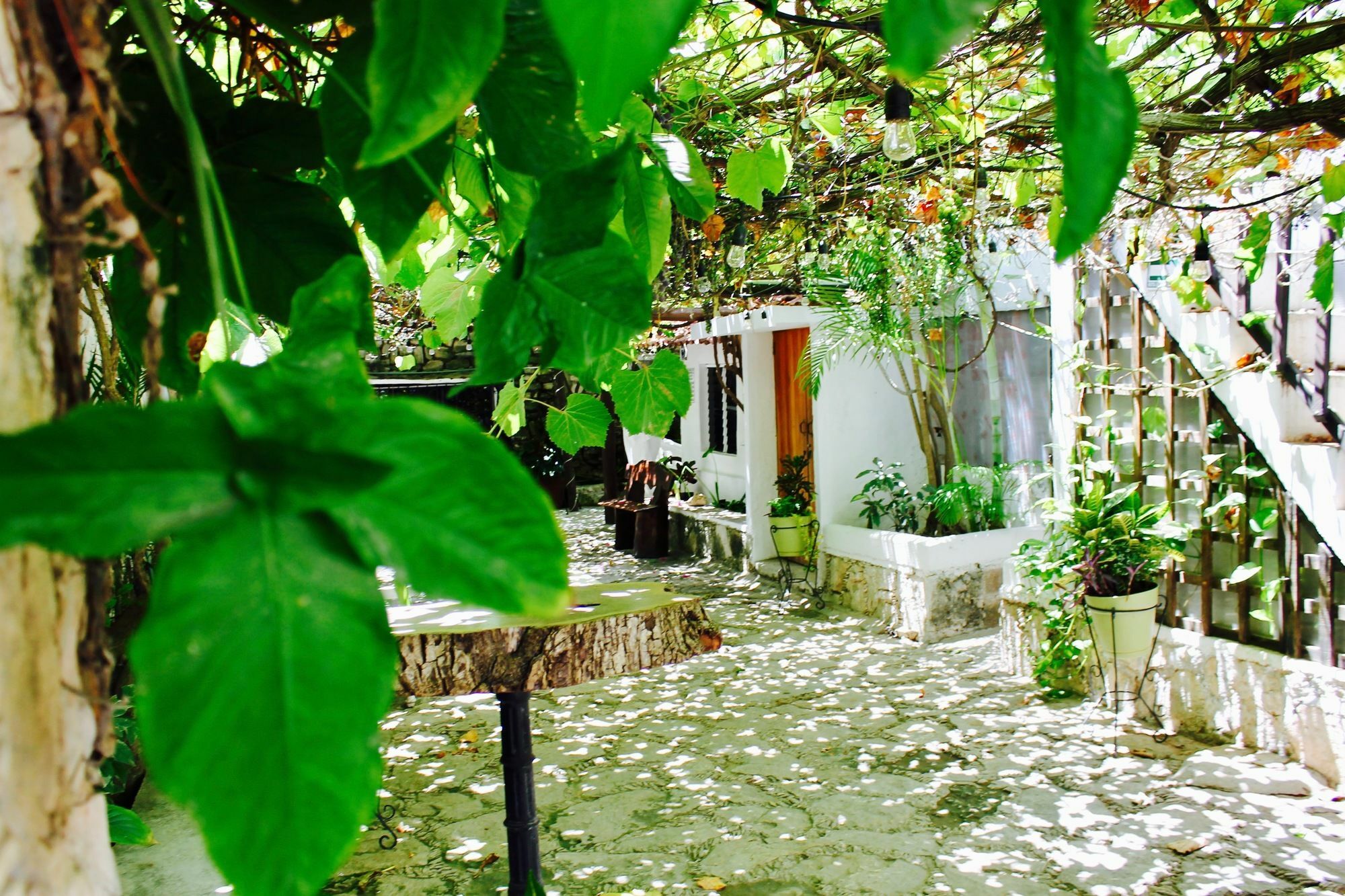 Posada Amor Hotel Boutique Puerto Morelos Exteriér fotografie