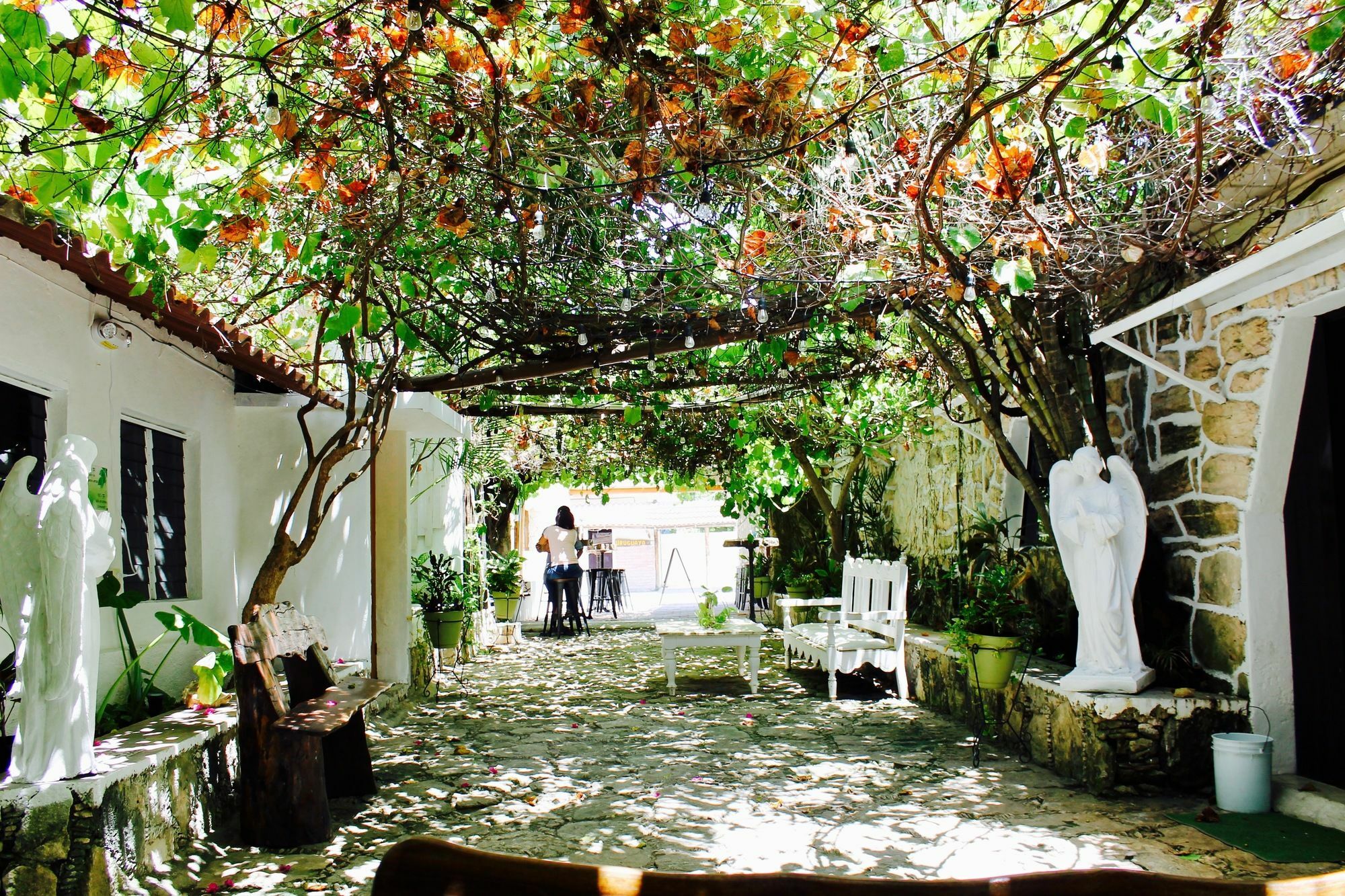 Posada Amor Hotel Boutique Puerto Morelos Exteriér fotografie